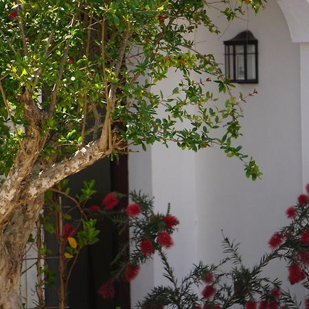 Los Arcos Villa Marbella Dış mekan fotoğraf