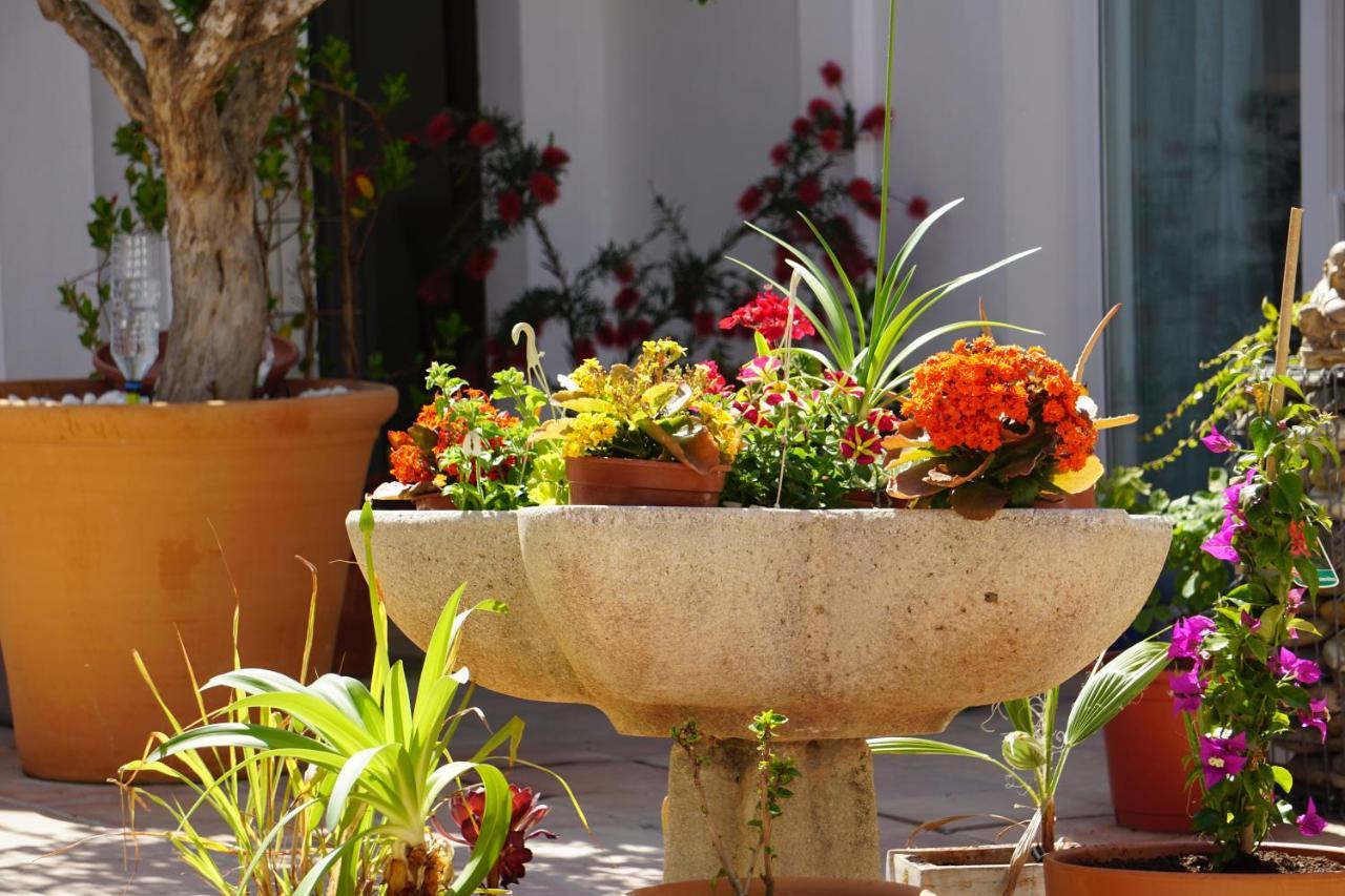 Los Arcos Villa Marbella Dış mekan fotoğraf